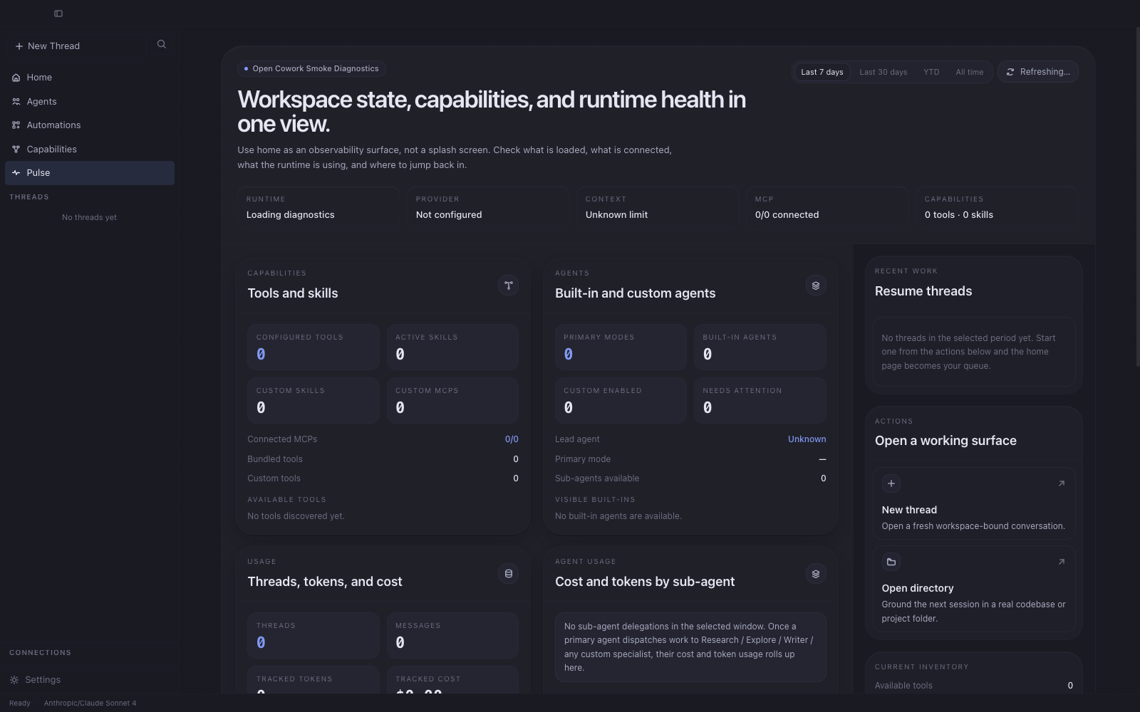 Pulse dashboard showing runtime, provider, capabilities, agents, usage, and performance cards